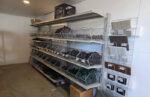 Fence Store Shelves.jpg
