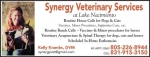 Syngery-Vet-QP-HROS15_web.jpg