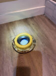 toilet ring.jpg