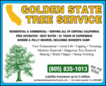Golden State Tree HP HROS 2022.jpg