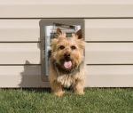 Doggie Door Install San Luis Obispo.jpg