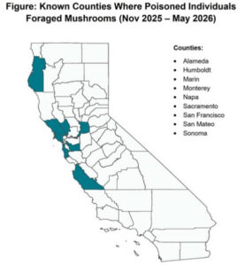 Warnings against picking wild mushrooms